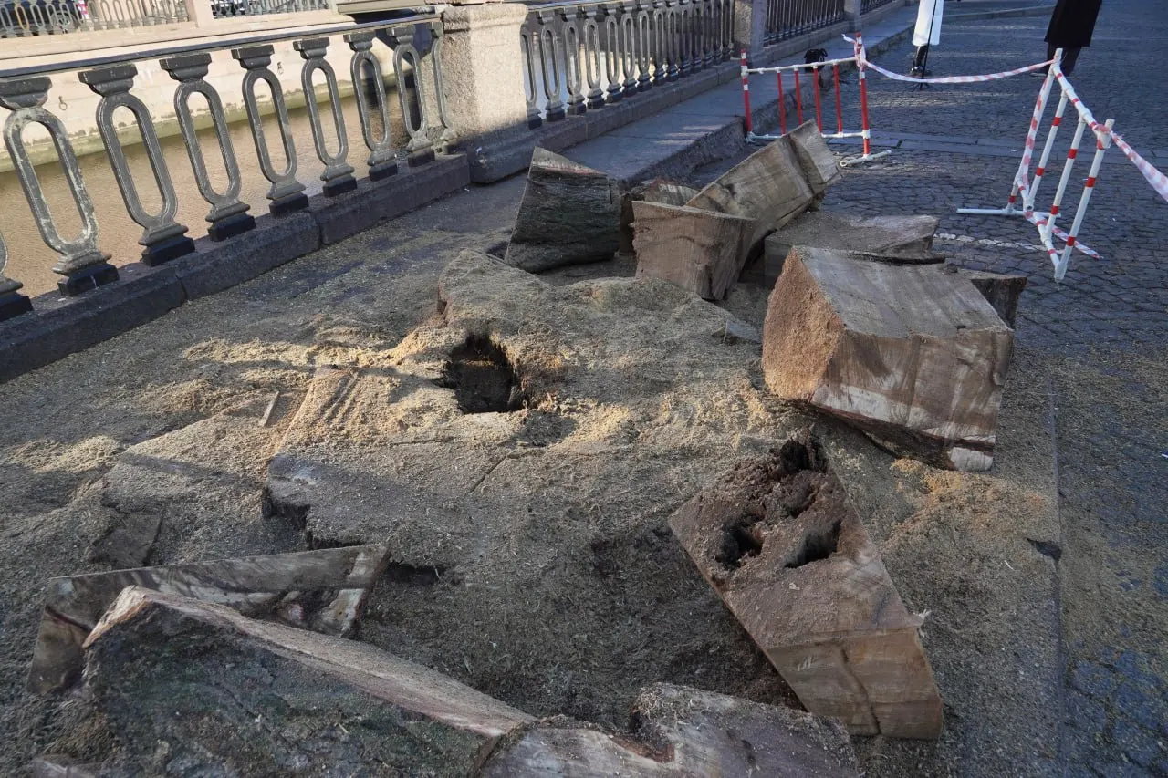 Спилили вековой тополь у Банковского моста; возраст дерева оценивают в примерно 115 лет, ранее рядом располагалась аллея подобных деревьев.