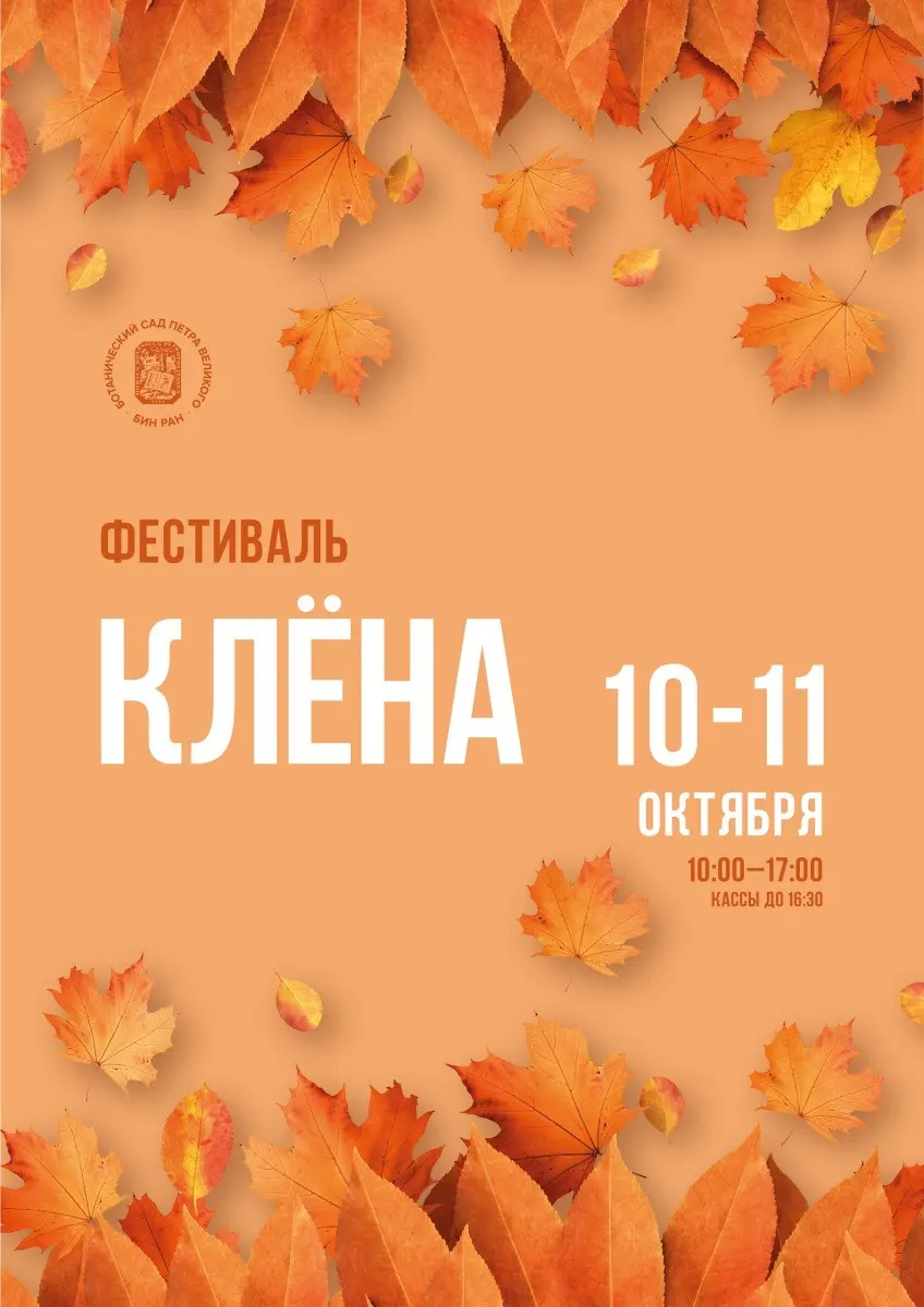 Гербарий станет доступен во время фестиваля кленов: посетители увидят образцы кленов Евразии и Северной Америки и примут участие в ботанической викторине.