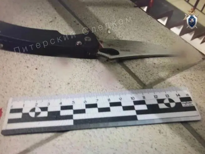 На проспекте Науки в Санкт-Петербурге мужчина ранил двух женщин и покончил с собой. Пострадавшие получили медицинскую помощь. По предварительным данным, возраст пострадавших — 40 и 65 лет; нападавший — 42 года. Инцидент мог быть связан с бракоразводным процессом.