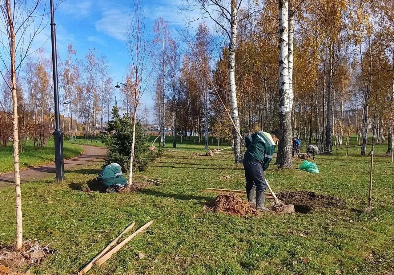 Озеленение провели в парках, скверах и по городским улицам.