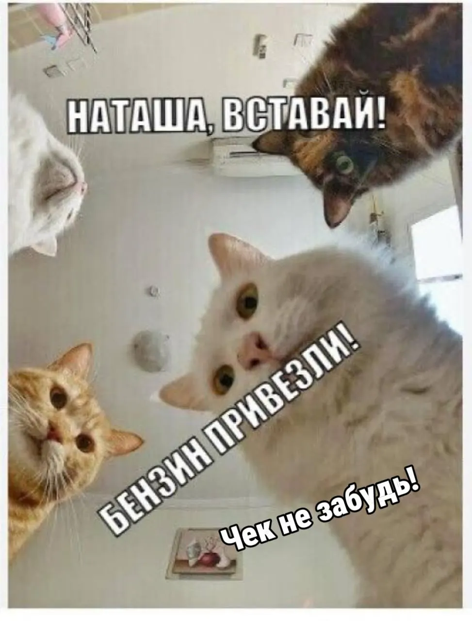 В Санкт-Петербурге отмечено появление топлива с пониженными экологическими нормами. Как проверить класс топлива в чеке и что делать с полученными чеками.