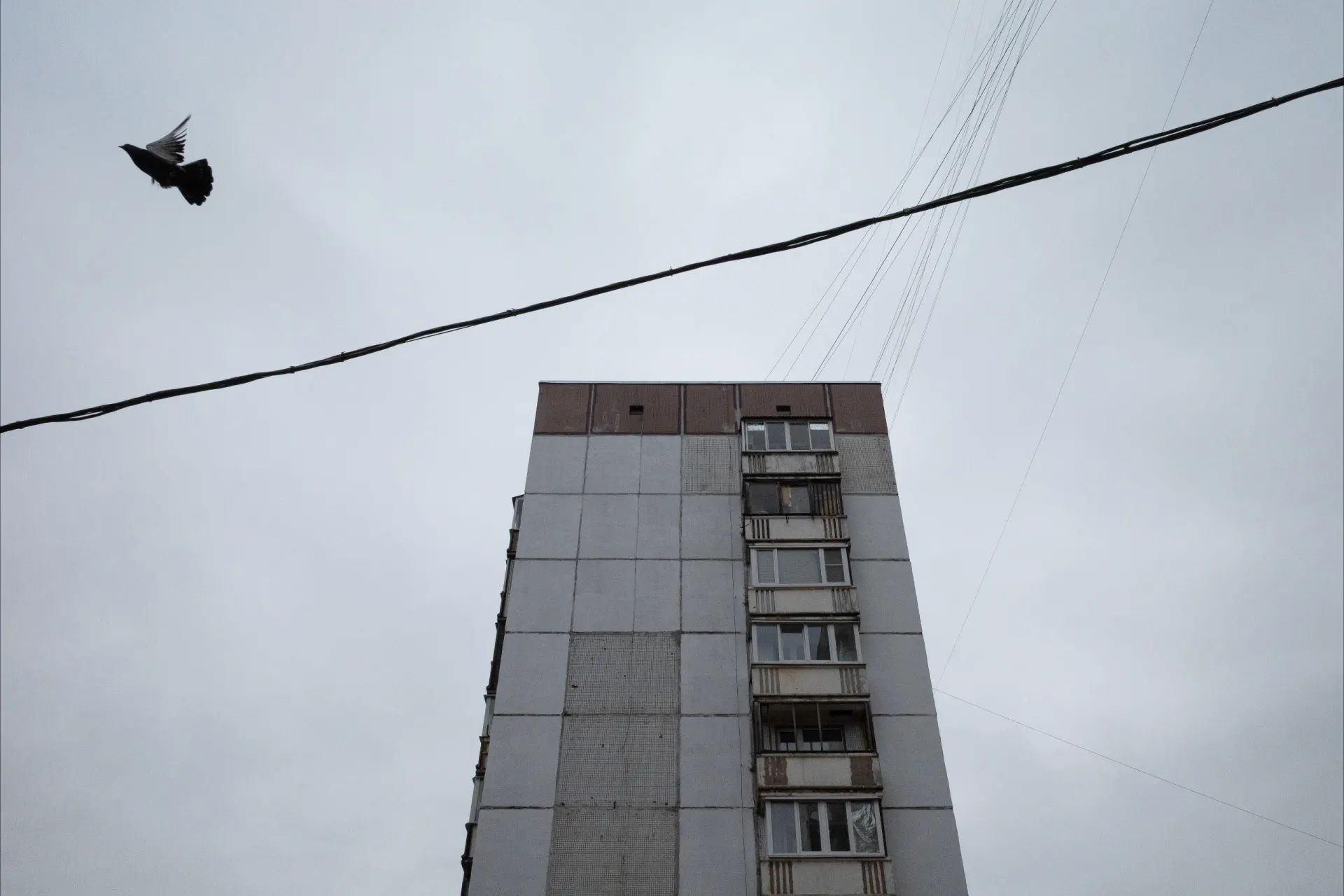 Прогноз морозов в регионе, задержки рейсов в аэропортах и дорожные происшествия. Разбираемся в ситуации в Санкт‑Петербурге, ЛО и по стране.